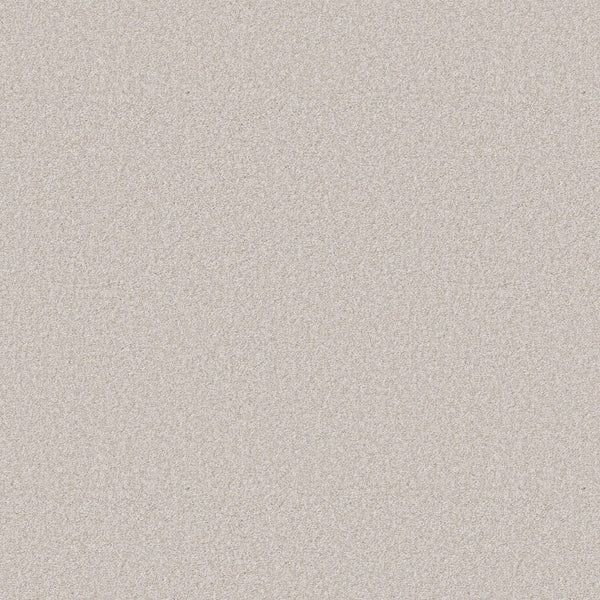 A close-up of You Got This III Pet Friendly Carpet in Snowfall shows its fine, light beige texture, evenly spread for a modern look and uniform, slightly grainy finish—ideal for comfortable, stylish flooring.