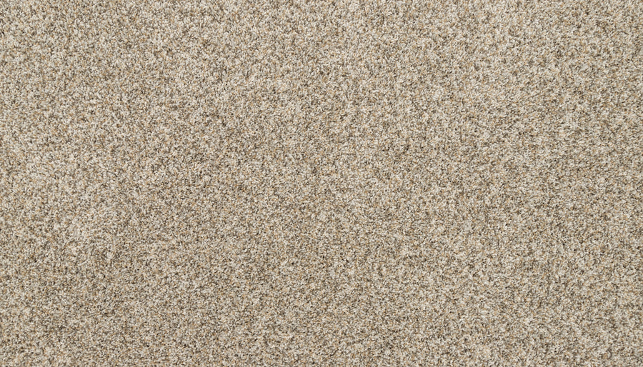 Close-up of Furocious I Pet Friendly Carpet featuring a textured, looped pile in tightly woven fibers. Its soft surface shows a slightly speckled blend of beige, tan, and light brown—ideal for stylish interiors and pet-friendly homes.