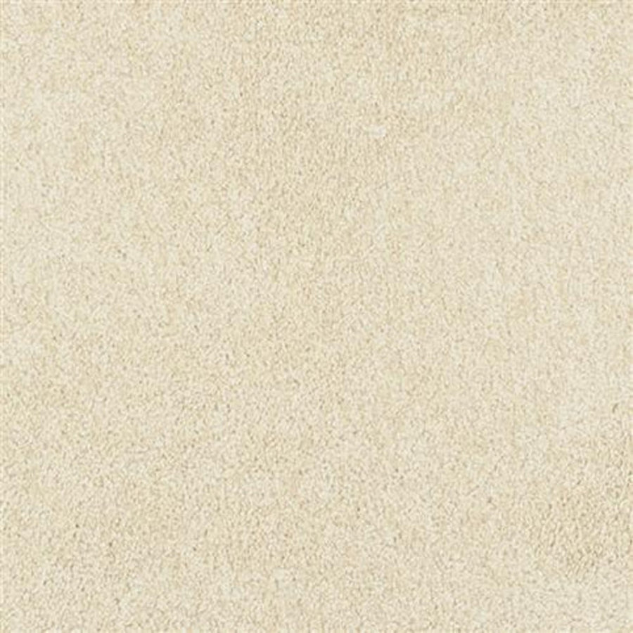 Oceanside Family Friendly Carpet in Soft Chamois features a plush, soft, and even texture with a slightly fuzzy feel. Its consistent color and durable design make it ideal for families, with no visible patterns or designs.