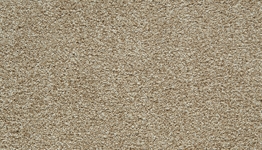 Close-up of a Cozy Companion Pet Friendly Carpet in Soft Echo, featuring a textured, looped pile surface with small, tightly woven fibers arranged in a consistent pattern—an inviting and durable carpet designed for everyday comfort.