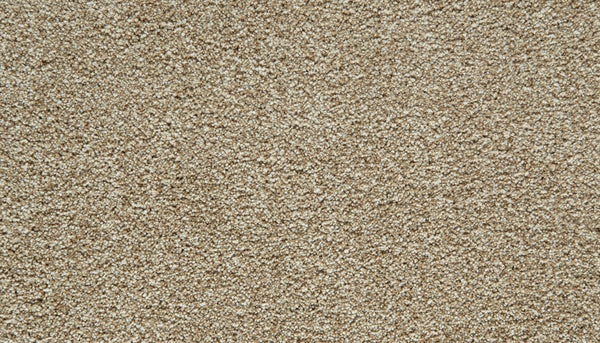 Close-up of a Cozy Companion Pet Friendly Carpet in Soft Echo, featuring a textured, looped pile surface with small, tightly woven fibers arranged in a consistent pattern—an inviting and durable carpet designed for everyday comfort.