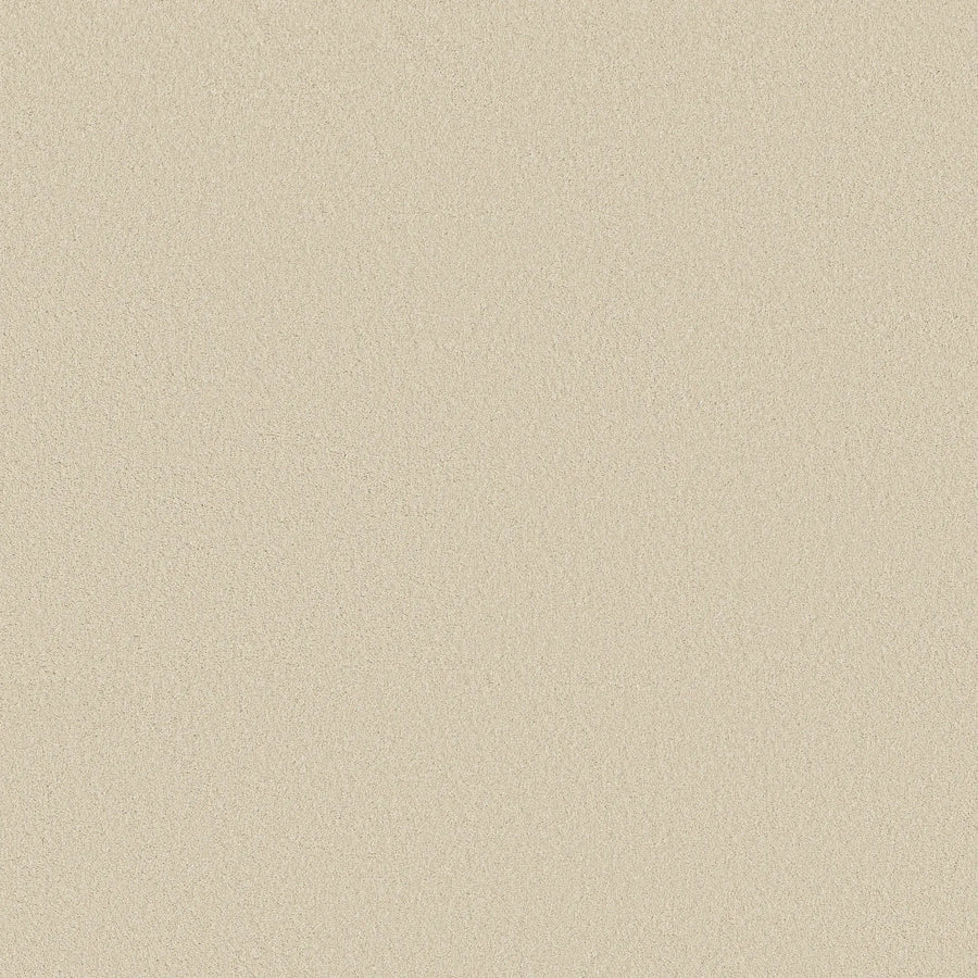 A close-up of Smooth Tone Blue Pet Friendly Carpet in Soft Sand shows a smooth, light beige surface with fine, even texture and luxurious flooring quality, featuring an elegant, seamless finish without visible patterns or objects.