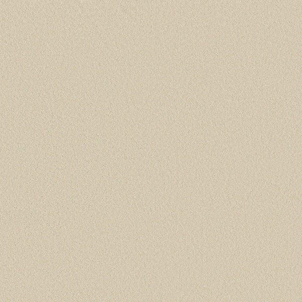 A close-up view of the Smooth Tone Pet Friendly Carpet in Soft Sand shows a smooth, light beige surface resembling fine sand—delivering a stylish and resilient look ideal for any space.