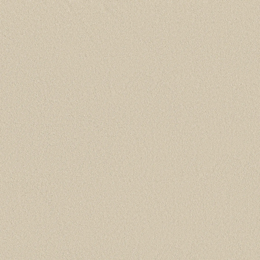 A close-up of Classic Tone Pet Friendly Carpet in Soft Sand color, showing its fine, smooth texture and elegant, stain-resistant surface that fills the entire frame.