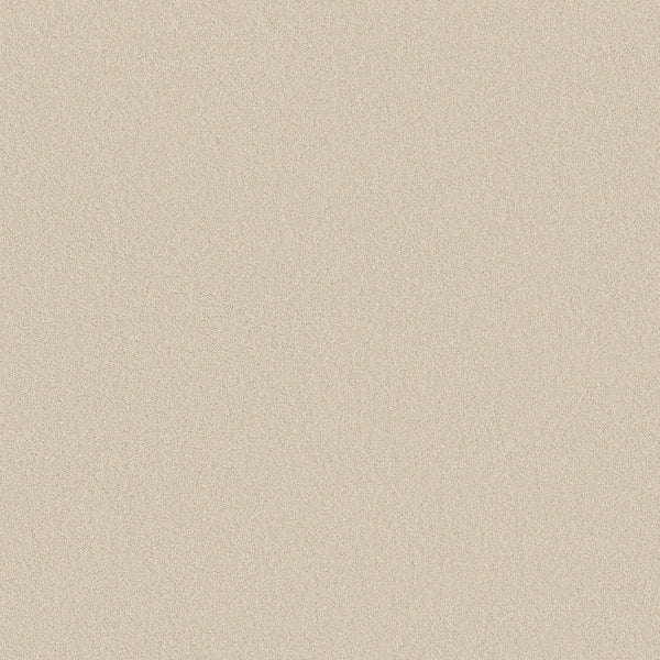 A close-up of Classic Tone Pet Friendly Carpet in Soft Sand color, showing its fine, smooth texture and elegant, stain-resistant surface that fills the entire frame.