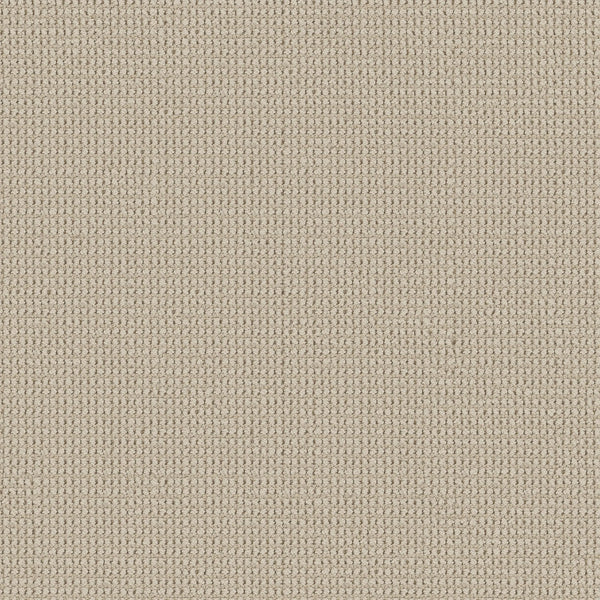 Close-up of Knitted Tone Pet Friendly Carpet in Soft Sand, featuring a finely woven texture with a uniform grid of interlaced threads—crafted for durability and style, perfect for high-traffic or luxury spaces.