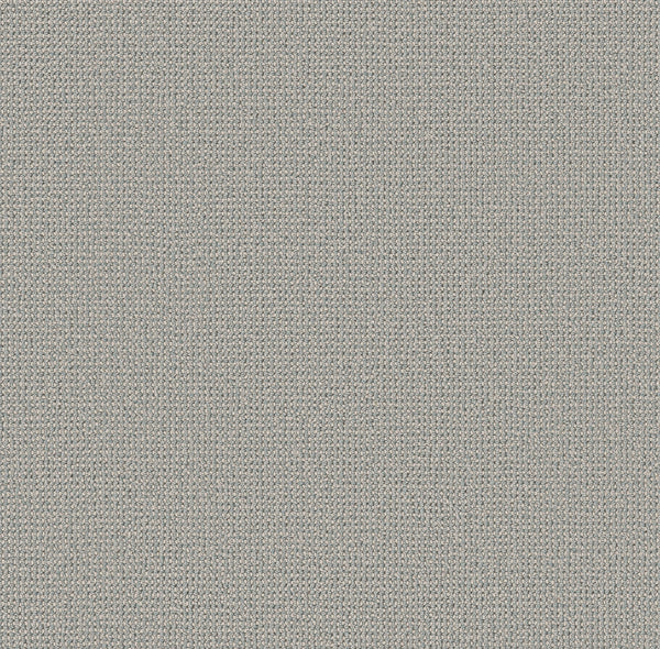 Close-up of Purrfection Beber Carpet in Solitude color, featuring tightly woven threads in a plush, uniform pattern. The surface is smooth and evenly colored with a soft, neutral grey tone reminiscent of luxury carpeting.