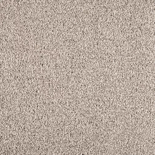 Close-up of Warm Reception Pet Friendly Carpet in beige displays plush texture and tightly woven fibers, providing luxurious comfort.