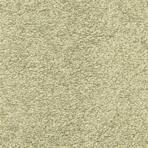 Close-up of Morgan Bay Family Friendly Carpet in Spanish Moss—a light beige, stain-resistant, looped pile carpet with a soft, uniform texture ideal for high-traffic areas.
