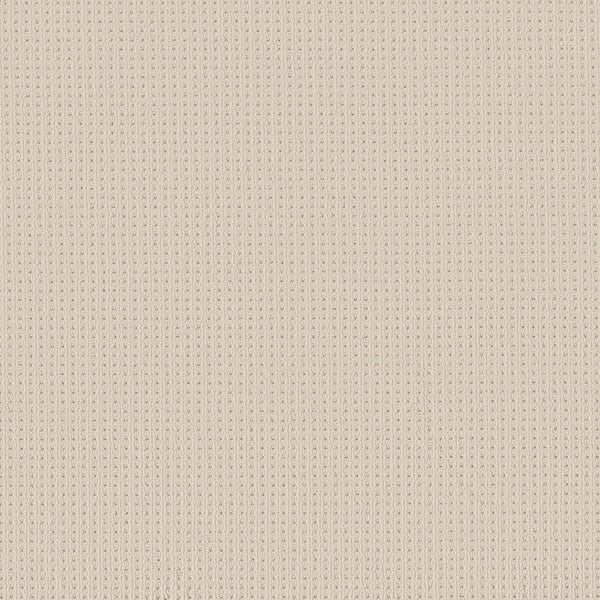 Close-up of San Lucas Family Friendly Carpet in Sparkling—a beige, knitted fabric with a vertical ribbed texture. Soft, evenly woven, and perfect for high-traffic family homes.