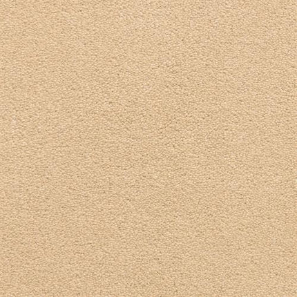 Close-up of the Grand Isle Family Friendly Carpet in Spice, showcasing its smooth, lightly textured, sandy suede-like surface—luxurious and pattern-free for a refined look.