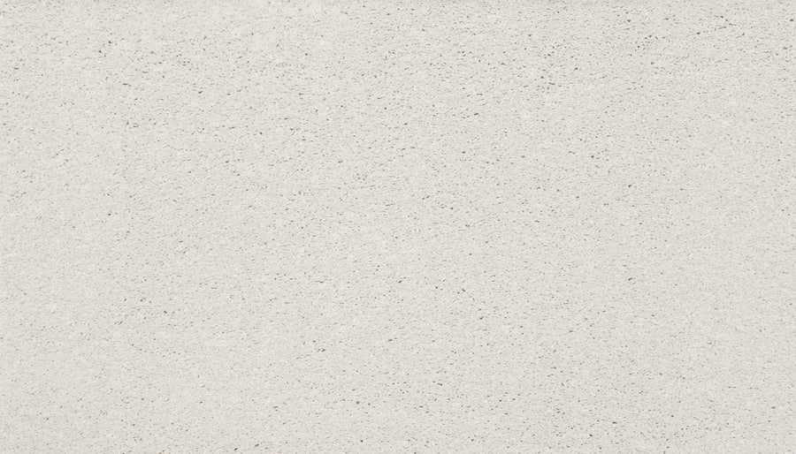A close-up of Splendid Elegance Pet Friendly Carpet in Pearl shows a light beige, sandy texture with subtle specks and a slightly rough look—ideal for those wanting luxury that's both pet friendly and stain resistant.
