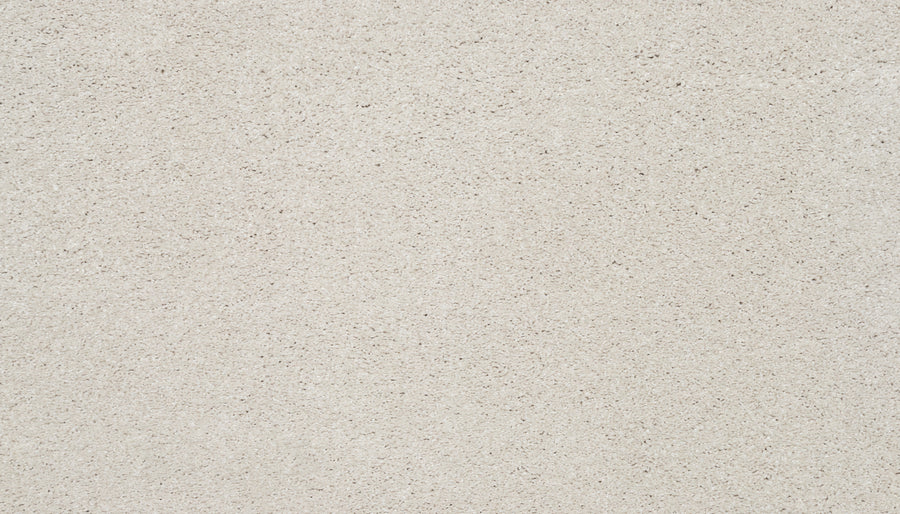 Splendid Elegance Pet Friendly Carpet in Dune features a light beige, grainy texture that mimics luxury finishes. Evenly lit, free of patterns, this durable and stain-resistant carpet offers a refined look ideal for pet owners.