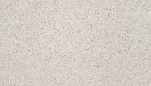 Splendid Elegance Pet Friendly Carpet in Dune features a light beige, grainy texture that mimics luxury finishes. Evenly lit, free of patterns, this durable and stain-resistant carpet offers a refined look ideal for pet owners.
