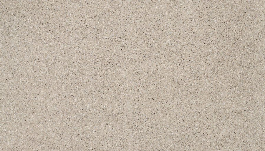 Close-up view of the Splendid Elegance Pet Friendly Carpet in Sandcastle, showcasing its smooth, light beige surface with fine grains and subtle texture for a refined, natural look.