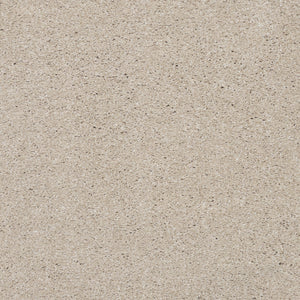 Close-up view of the Splendid Elegance Pet Friendly Carpet in Sandcastle, showcasing its smooth, light beige surface with fine grains and subtle texture for a refined, natural look.