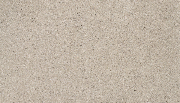 Close-up view of the Splendid Elegance Pet Friendly Carpet in Sandcastle, showcasing its smooth, light beige surface with fine grains and subtle texture for a refined, natural look.