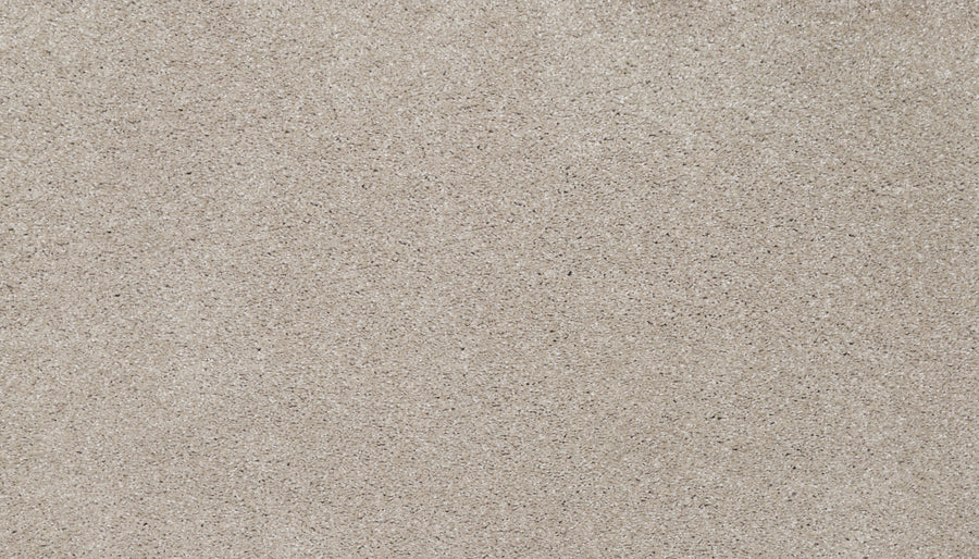 A close-up of Splendid Elegance Pet Friendly Carpet in Raw color shows fine, light brown fibers with a slightly rough texture, resembling luxury sand. The carpet is stain resistant, pet friendly, and evenly spread with no patterns or objects visible.