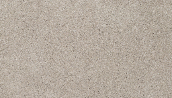 A close-up of Splendid Elegance Pet Friendly Carpet in Raw color shows fine, light brown fibers with a slightly rough texture, resembling luxury sand. The carpet is stain resistant, pet friendly, and evenly spread with no patterns or objects visible.