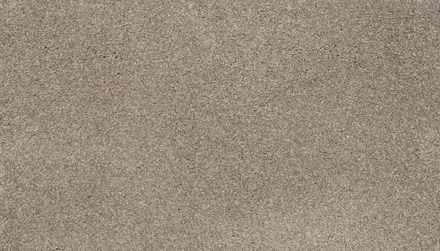 Close-up view of Splendid Elegance Pet Friendly Carpet in Harmonious, showing its fine texture and subtle color variations—luxurious, stain resistant, and designed to be pet friendly.
