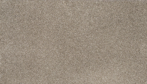 Close-up view of Splendid Elegance Pet Friendly Carpet in Harmonious, showing its fine texture and subtle color variations—luxurious, stain resistant, and designed to be pet friendly.