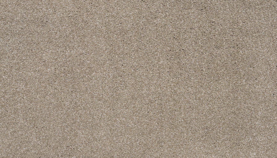 A close-up of Splendid Elegance Pet Friendly Carpet in Basketweave shows fine, light brown fibers with a uniform texture, subtle color variations, and a stain-resistant surface ideal for homes with pets.
