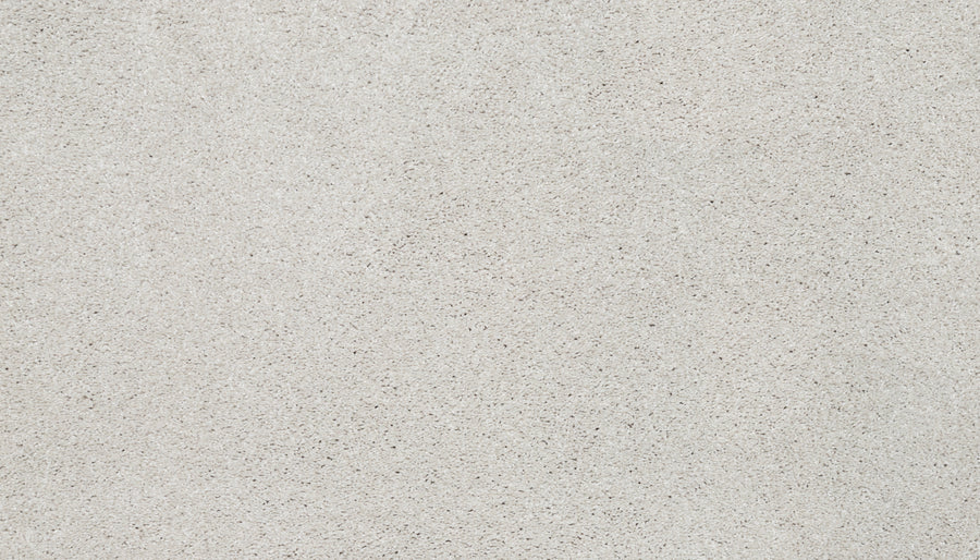 A close-up view of the Splendid Elegance Pet Friendly Carpet in Timeless, featuring a light gray tone with subtle texture and specks, offering a refined, stain-resistant finish.