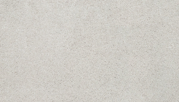 A close-up view of the Splendid Elegance Pet Friendly Carpet in Timeless, featuring a light gray tone with subtle texture and specks, offering a refined, stain-resistant finish.