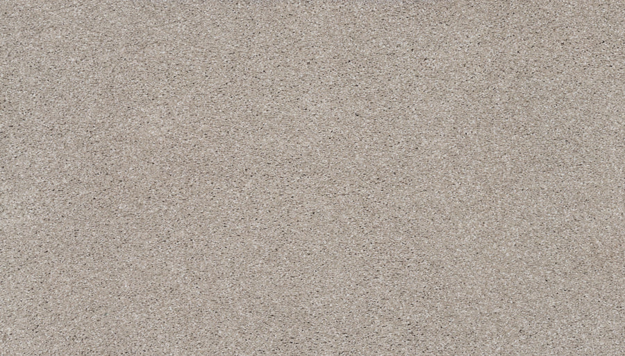 Close-up view of Splendid Elegance Pet Friendly Carpet in Pottery, featuring a uniform pattern of fine, light brown and beige specks—resembling sand or stone—and offering luxury style with stain-resistant performance.