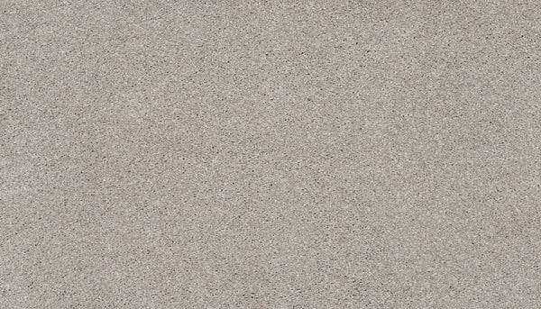 Close-up view of Splendid Elegance Pet Friendly Carpet in Pottery, featuring a uniform pattern of fine, light brown and beige specks—resembling sand or stone—and offering luxury style with stain-resistant performance.
