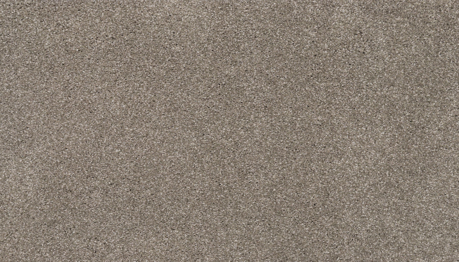 Close-up view of Splendid Elegance Pet Friendly Carpet in Fall color, showcasing fine, light brown fibers with a uniform texture and small grains, reminiscent of a smooth, natural luxury surface.