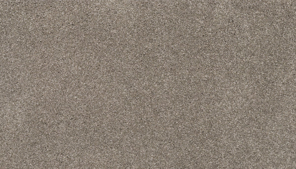 Close-up view of Splendid Elegance Pet Friendly Carpet in Fall color, showcasing fine, light brown fibers with a uniform texture and small grains, reminiscent of a smooth, natural luxury surface.