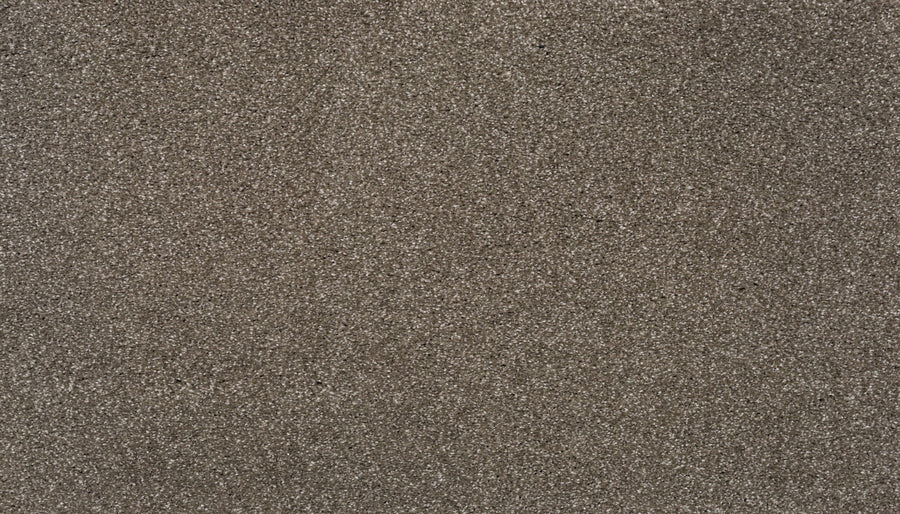 Close-up view of the Splendid Elegance Pet Friendly Carpet in Lite, showcasing its textured, uniform surface with subtle shading—perfect for those wanting a stain resistant and pet friendly carpet option.