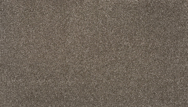 Close-up view of the Splendid Elegance Pet Friendly Carpet in Lite, showcasing its textured, uniform surface with subtle shading—perfect for those wanting a stain resistant and pet friendly carpet option.