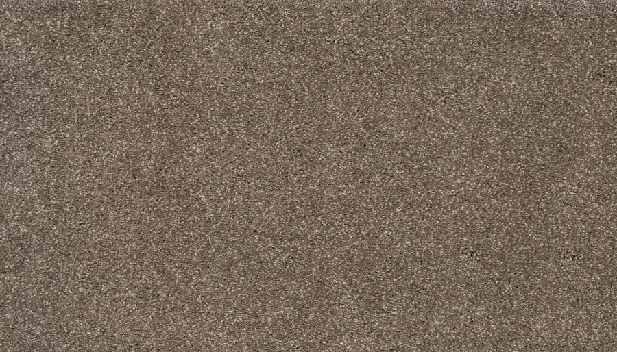 Close-up of Splendid Elegance Pet Friendly Carpet in Explore color, featuring a dense, soft pile and textured brown finish with a slightly mottled look; both pet friendly and stain resistant.