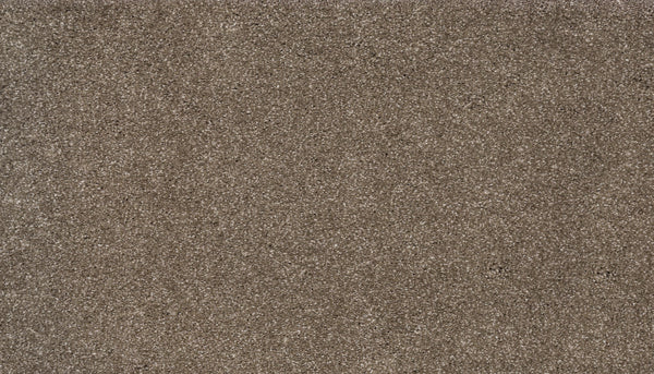 Close-up of Splendid Elegance Pet Friendly Carpet in Explore color, featuring a dense, soft pile and textured brown finish with a slightly mottled look; both pet friendly and stain resistant.