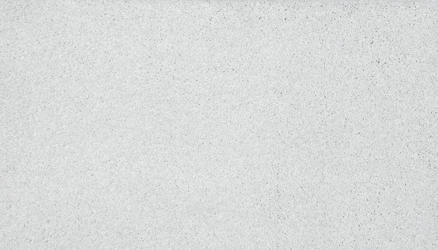 Close-up of Splendid Elegance Pet Friendly Carpet in the color Classical—its smooth, fine grain texture is subtly elegant and reminiscent of luxurious, stain-resistant surfaces.