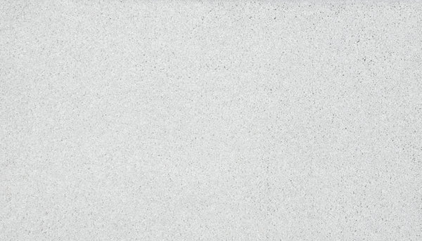 Close-up of Splendid Elegance Pet Friendly Carpet in the color Classical—its smooth, fine grain texture is subtly elegant and reminiscent of luxurious, stain-resistant surfaces.