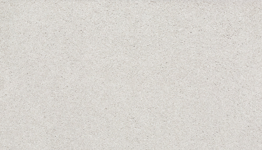 Close-up view of Splendid Elegance Pet Friendly Carpet in Cathedral color, featuring a flat, light gray textured surface with a uniform, slightly grainy appearance.