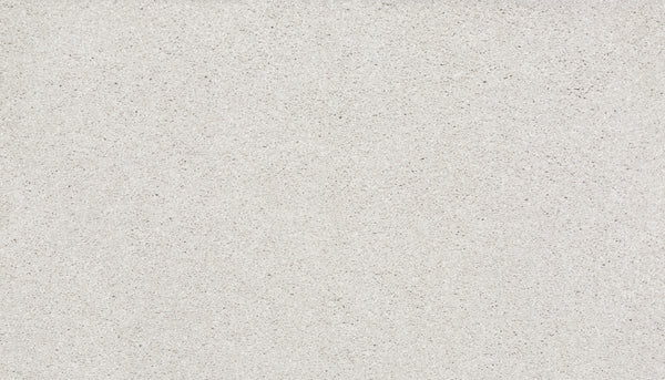 Close-up view of Splendid Elegance Pet Friendly Carpet in Cathedral color, featuring a flat, light gray textured surface with a uniform, slightly grainy appearance.