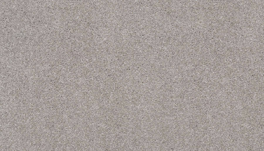 Close-up of the Splendid Elegance Pet Friendly Carpet in Soft Ash, showcasing its textured surface with fine, light-colored fibers, subtle grains, and darker specks—engineered to be stain resistant and ideal for pets.