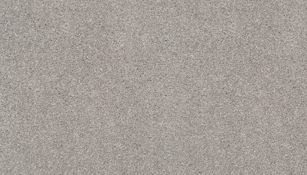 Close-up of the Splendid Elegance Pet Friendly Carpet in Soft Ash, showcasing its textured surface with fine, light-colored fibers, subtle grains, and darker specks—engineered to be stain resistant and ideal for pets.