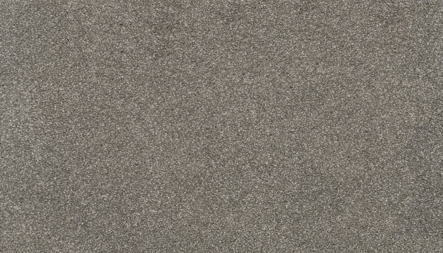 A close-up of Splendid Elegance Pet Friendly Carpet in Passageway reveals fine, gray fibers with a slightly rough, grainy texture and tiny sparkling particles—echoing luxury carpet’s subtle sheen.