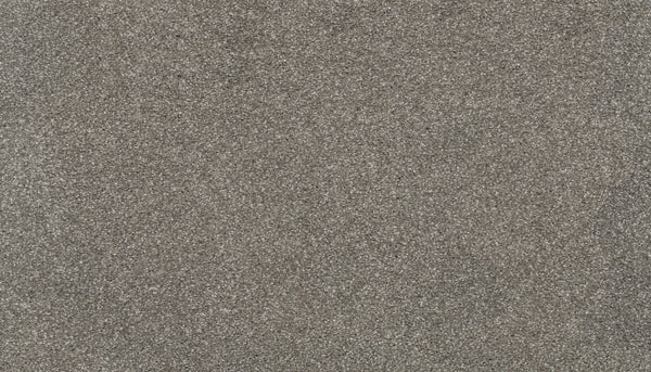 A close-up of Splendid Elegance Pet Friendly Carpet in Passageway reveals fine, gray fibers with a slightly rough, grainy texture and tiny sparkling particles—echoing luxury carpet’s subtle sheen.