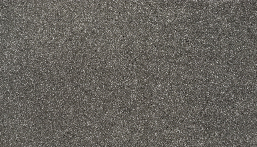 Close-up of Splendid Elegance Pet Friendly Carpet in Quiet—fine, dark gray fibers with a slightly rough texture, filling the frame like luxury sand. No objects or features visible; carpet is pet friendly and stain resistant.