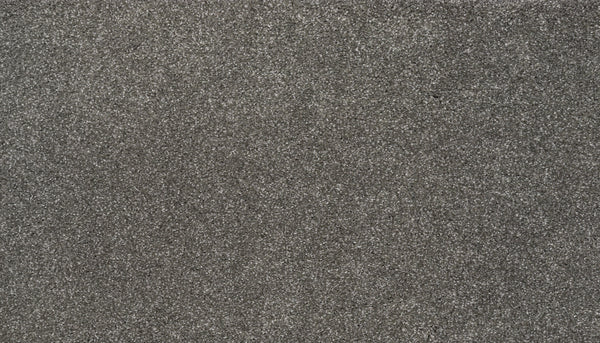Close-up of Splendid Elegance Pet Friendly Carpet in Quiet—fine, dark gray fibers with a slightly rough texture, filling the frame like luxury sand. No objects or features visible; carpet is pet friendly and stain resistant.