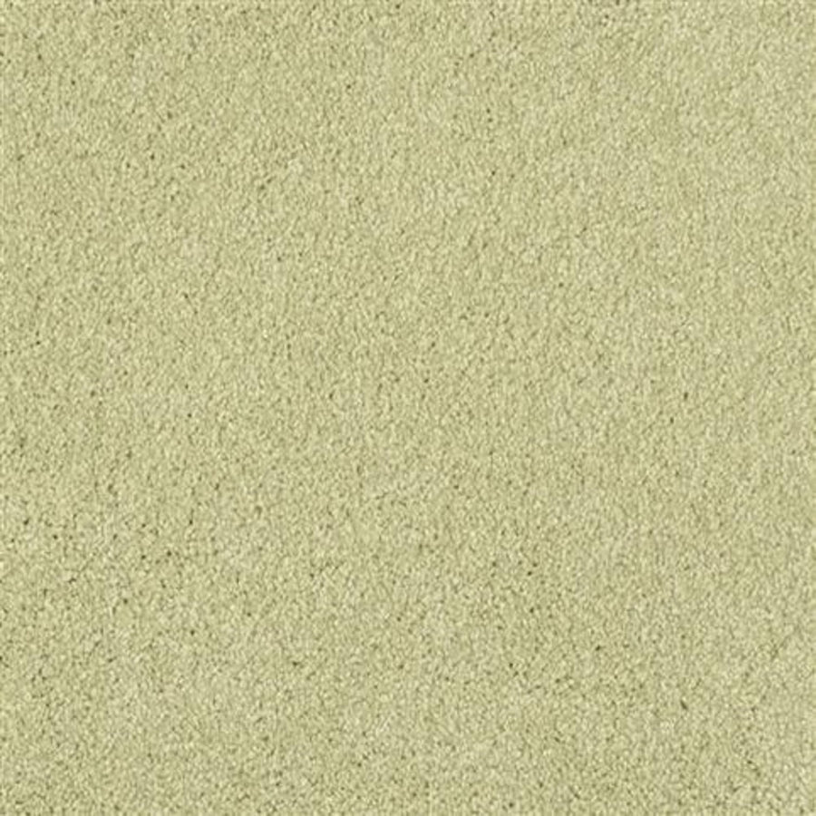 Close-up view of Oceanside Family Friendly Carpet in Springhill, featuring a light beige tone with a uniform, slightly textured pattern and subtle variations in color and grain size.