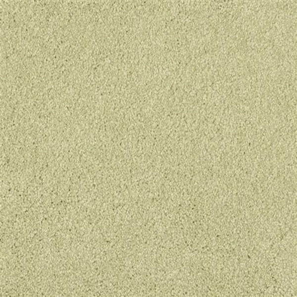 Close-up view of Oceanside Family Friendly Carpet in Springhill, featuring a light beige tone with a uniform, slightly textured pattern and subtle variations in color and grain size.