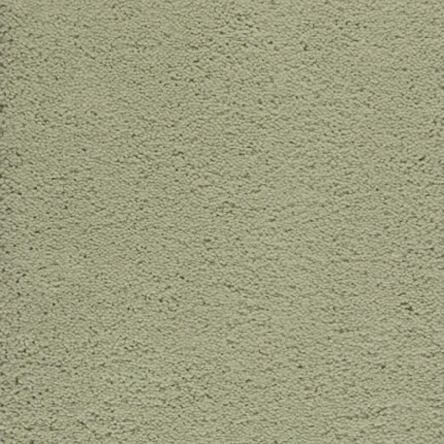 Dolce Family Friendly Carpet in Sprout features a light green hue with a textured, durable finish—perfect for high-traffic areas that require both style and resilience.