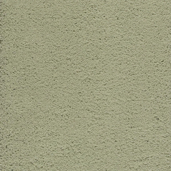Dolce Family Friendly Carpet in Sprout features a light green hue with a textured, durable finish—perfect for high-traffic areas that require both style and resilience.